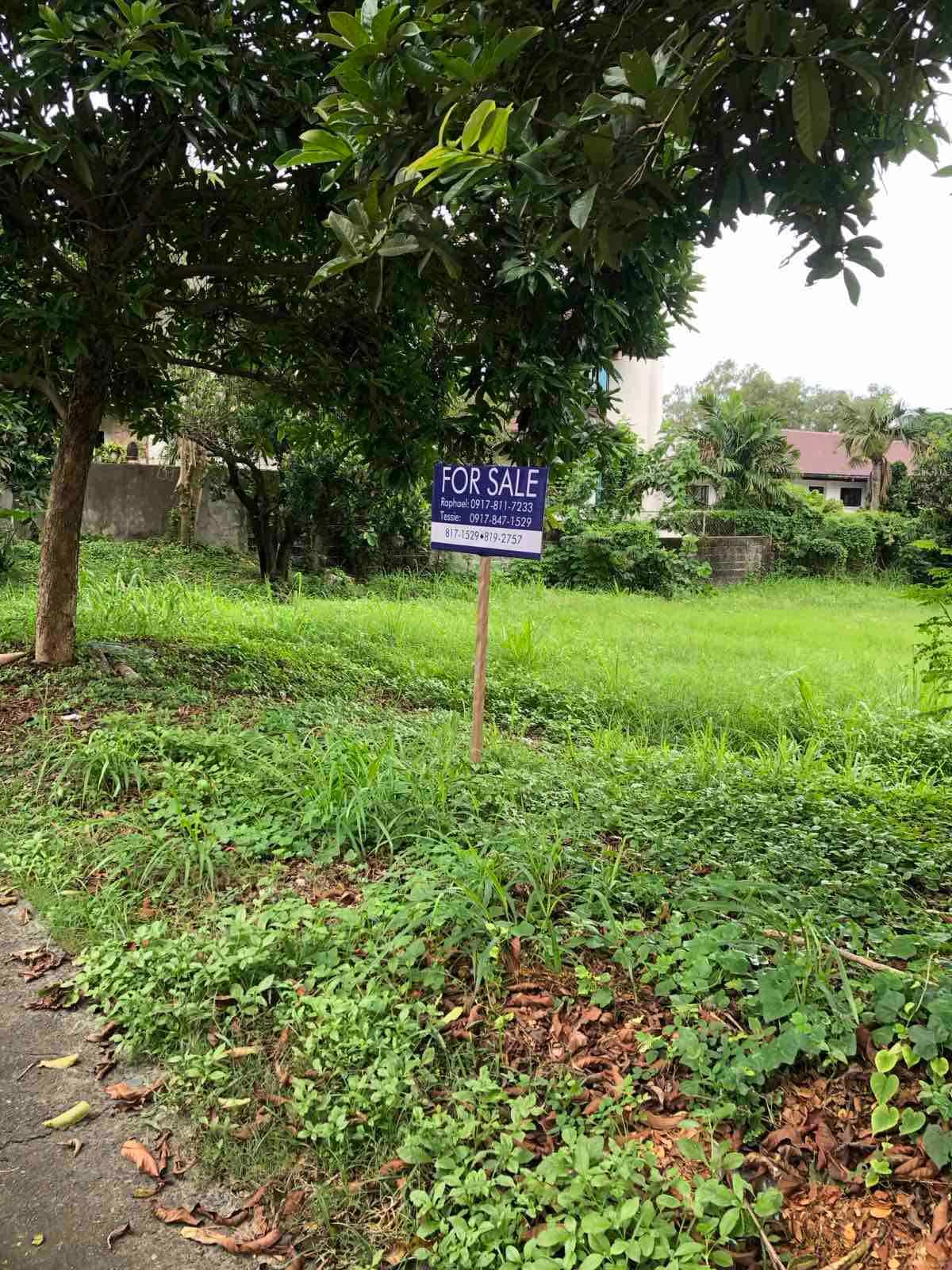 Rectangular Lot for Sale in Ayala Alabang, Muntinlupa