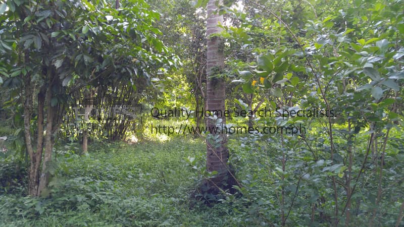 Good investment Farm Lot in Lipa Batangas in Batangas, Outside Metro Manila
