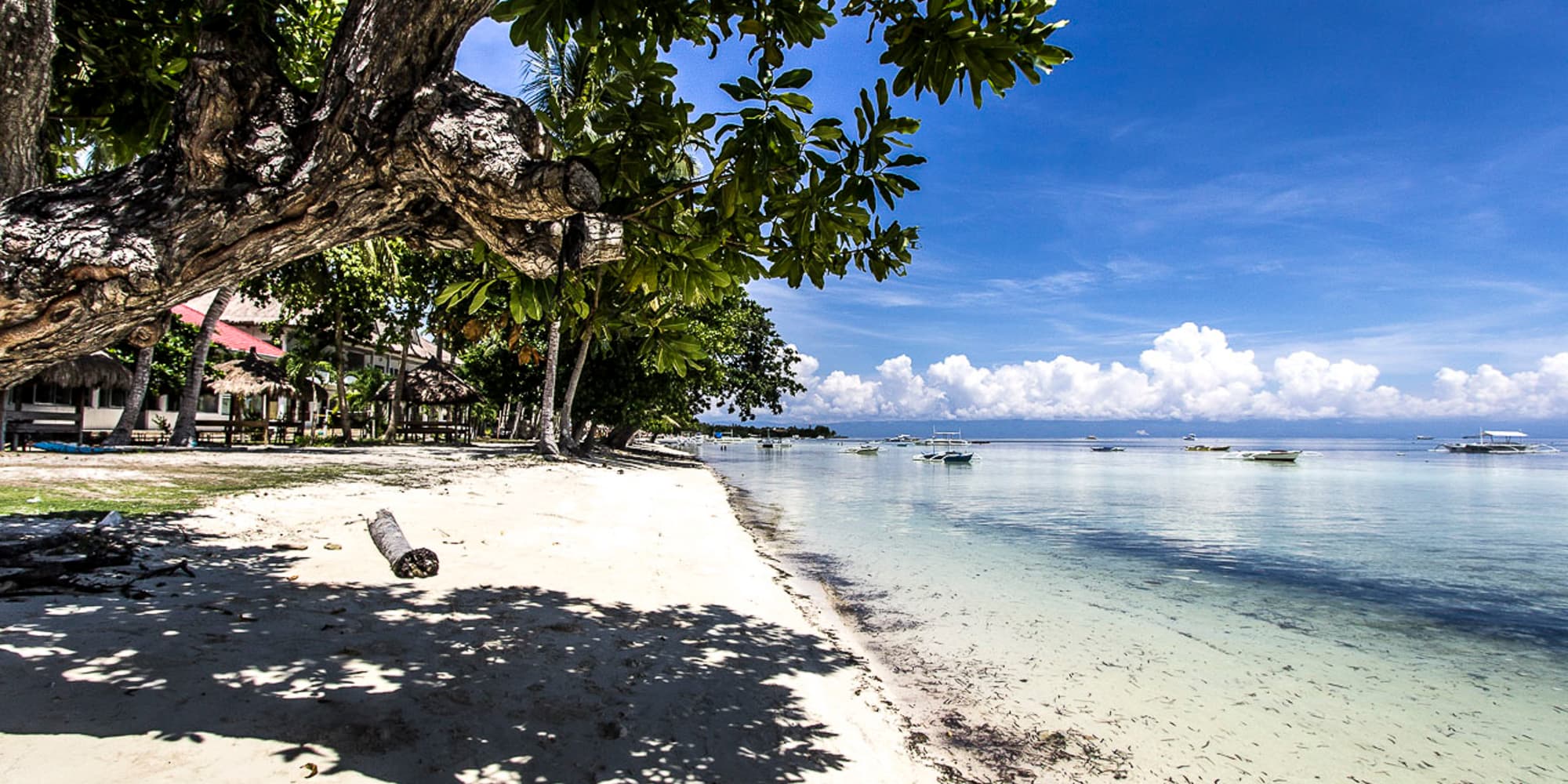 Amazing Beach Front Property for Sale in Bohol in Bohol, Outside Metro Manila