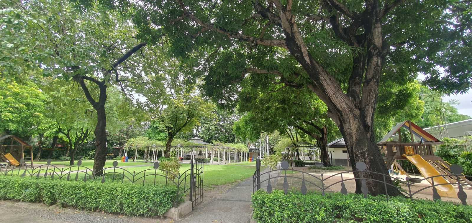 Prime Vacant Lot in Dasmariñas Village in Dasmarinas Village, Makati
